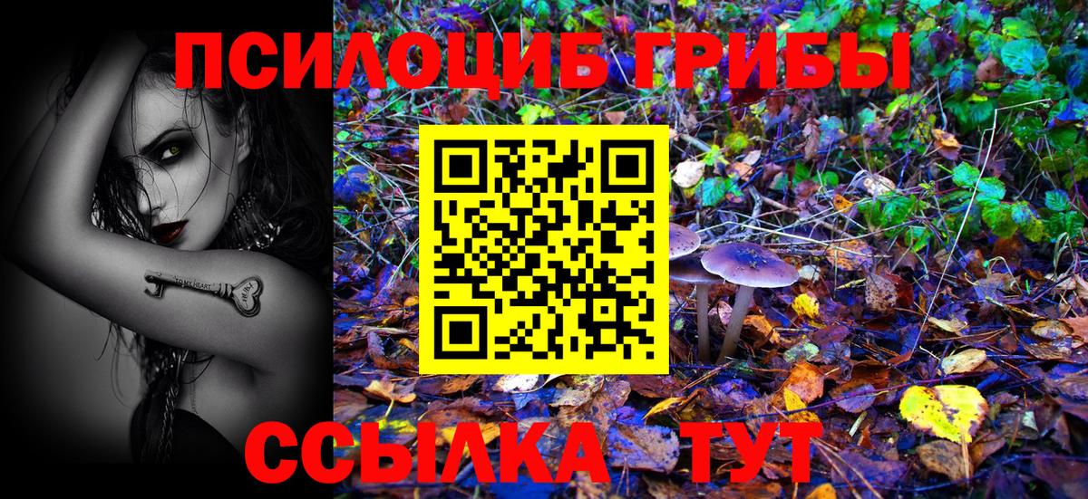 Псилоцибиновые грибы мухоморы Тейково